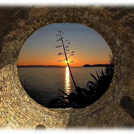 Sea Rhapsody